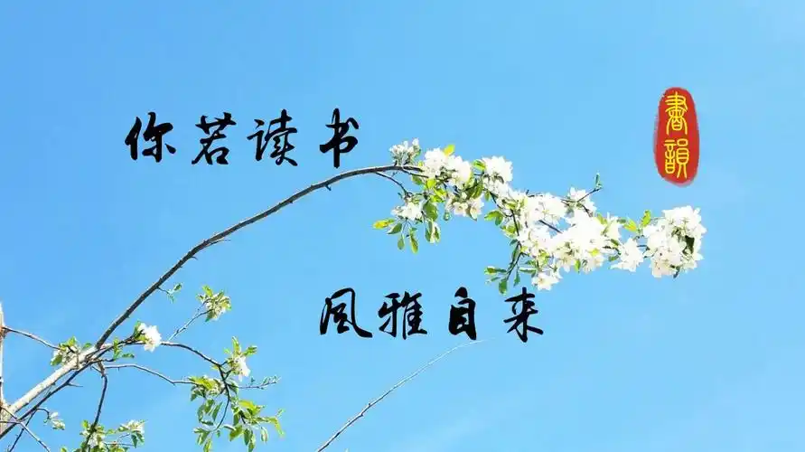 你若读书 风雅自来