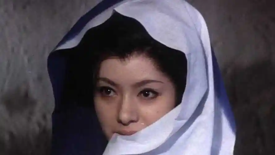 灭门惨案,盲侠座头市刀斩蛇蝎美女,日本武士电影《座头市战帖》