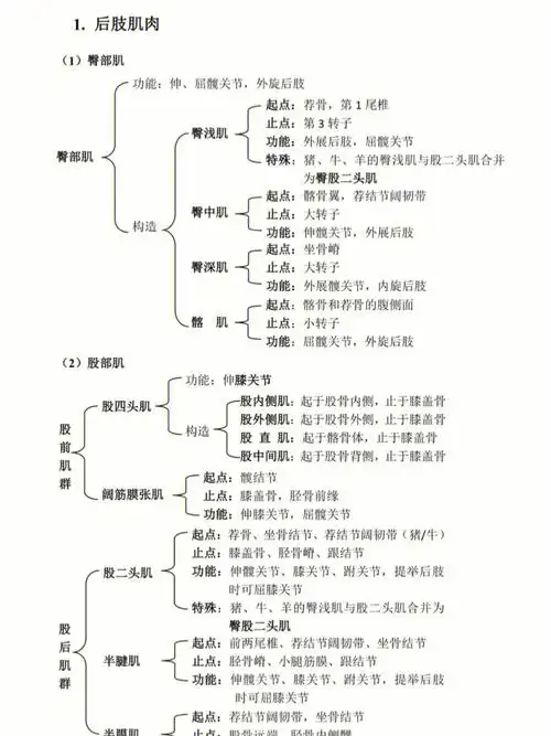 动物解剖学重点框架
