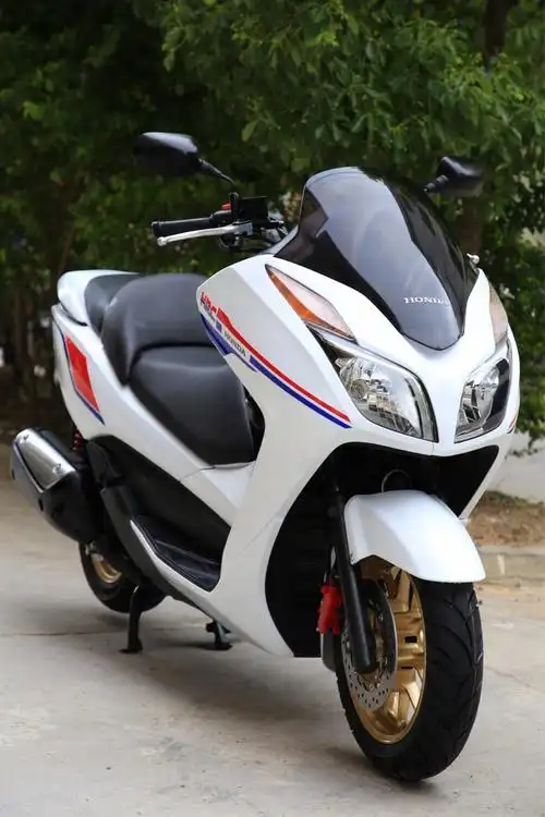 honda 2013年佛沙250