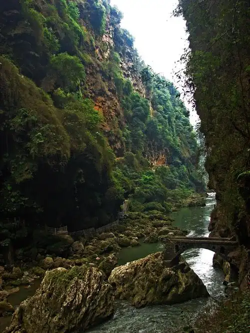 竖向照片( 19张 )