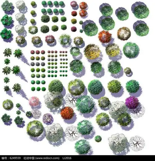 ps彩色平面乔木植物素材psd