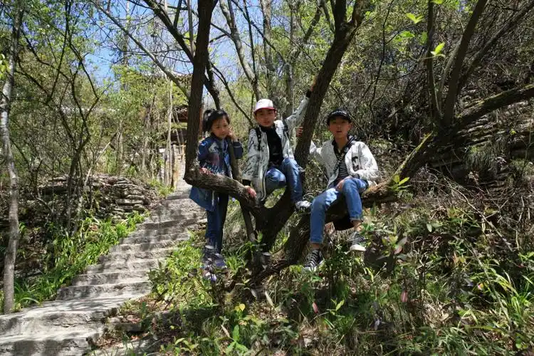 美丽的妈妈漫步在天然壮观的石林中,留下一个长长的背影