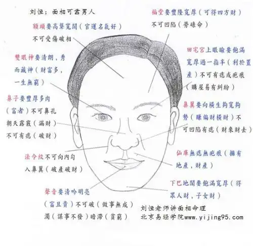 刘恒教授北京面相分析,刘恒面相图解,免费面相测试扫一扫