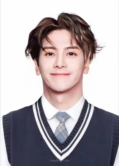 王嘉尔##内娱男明星的证件照