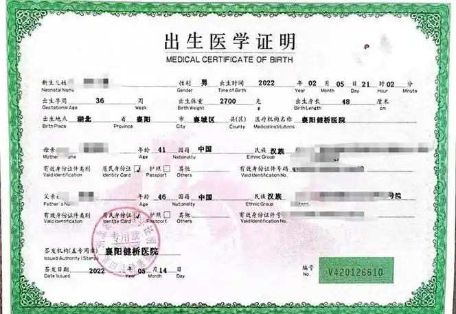 "双胞胎"出生证明之二(受访者供图)