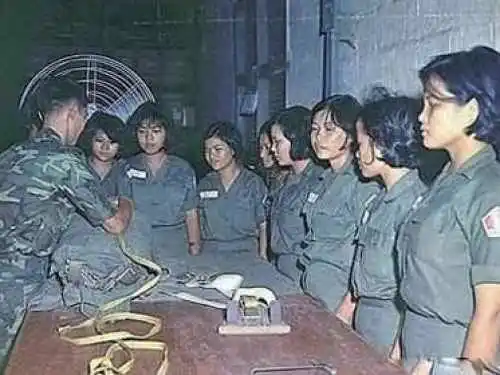 老兵爆料越南战场女兵尸体竟这么用看后震惊图1