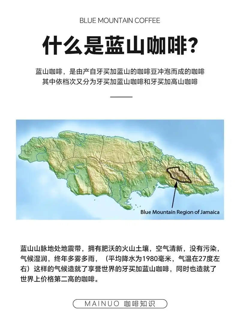 咖啡知识·什么是蓝山咖啡00.