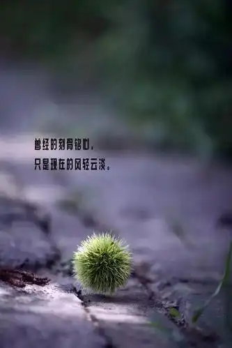 赞美衣服的优美句子微信朋友圈说说心情语录触动心灵的经典优美语句