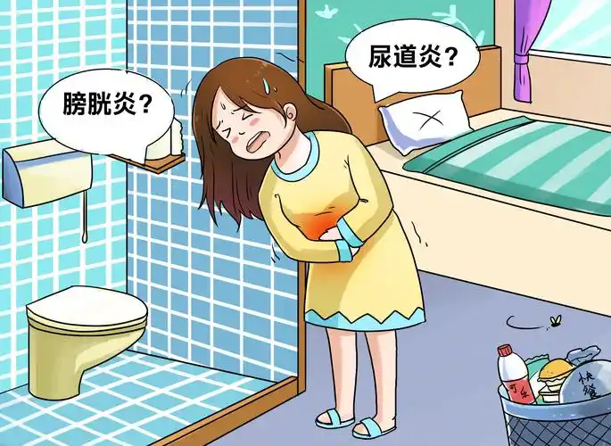 女性膀胱炎和尿道炎傻傻分不清楚