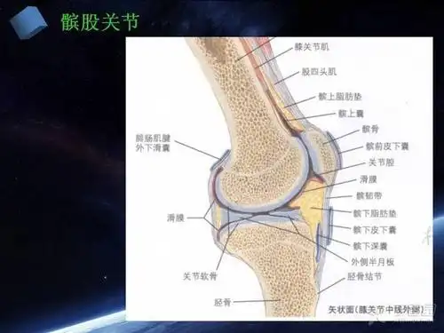 髌骨关节炎的诊疗