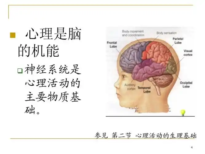 s《基础心理学》ppt
