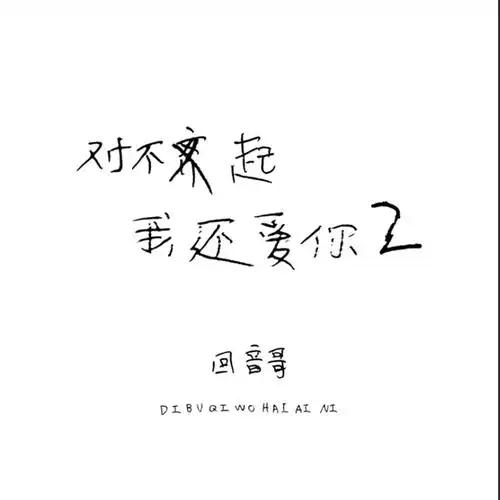 对不起我还爱你2_回音哥_高音质在线试听_对不起我还爱你2歌词|歌曲