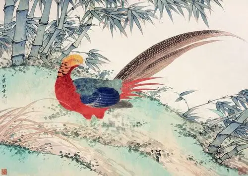 田世光 锦鸡 镜片 设色纸本作品欣赏