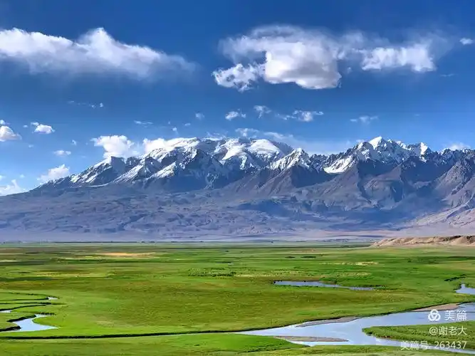 帕米尔高原:雪山,草原,牛羊,蓝天,白云,人家.