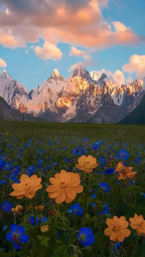 朋友圈心情说说美:我知道你很难,但请学会治愈自己