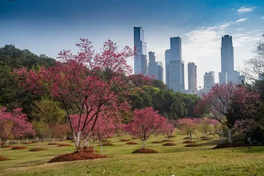 人民公园,南宁市石门森林公园,南宁南湖公园酒店,南宁市花卉公园-北区