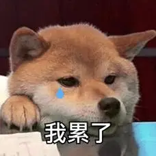 累了,我真的累了