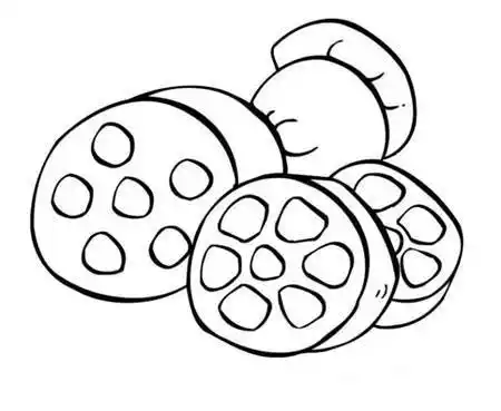 莲藕简笔画 莲藕简笔画图片带颜色