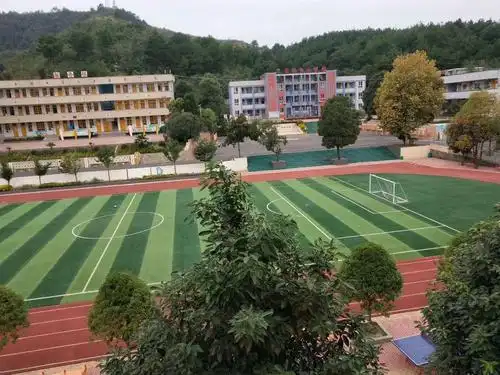 四月芳菲满校园——我想把长田小学的春光飞寄给你