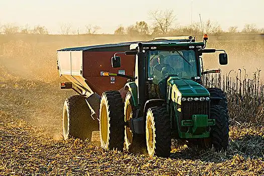 农民,拖拉机,拉拽,谷物,满,收获,黄色,玉米,丰收,南方,爱荷华,美国