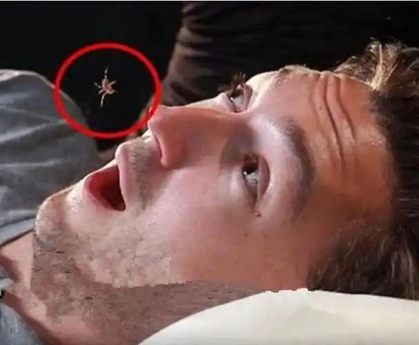 男子听闻人睡觉时都会无意吞下蜘蛛,打算亲身体验