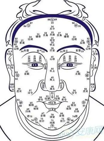 眉浓发厚人必贱