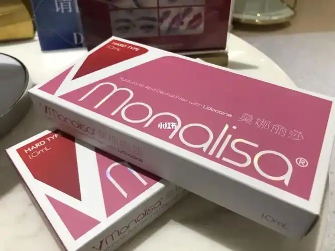 聚会救星之莫娜丽莎