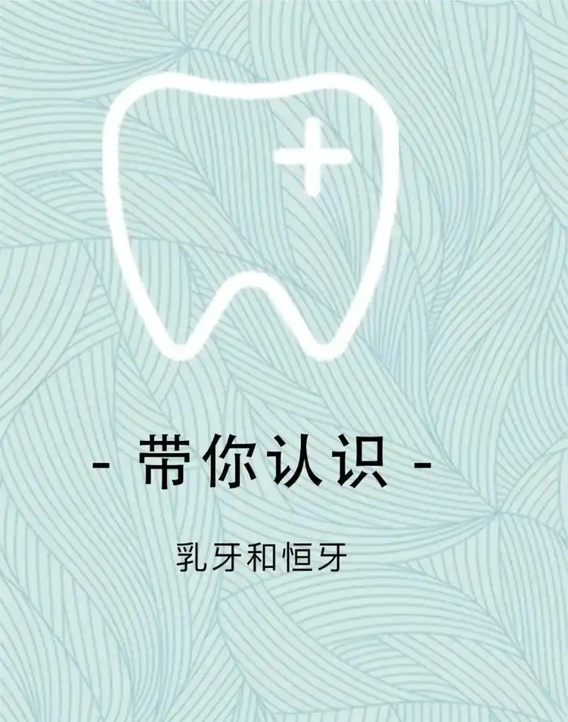 人的一-生长两次牙齿: 一次乳牙,一次恒牙. 恒牙32颗,乳 - 抖音