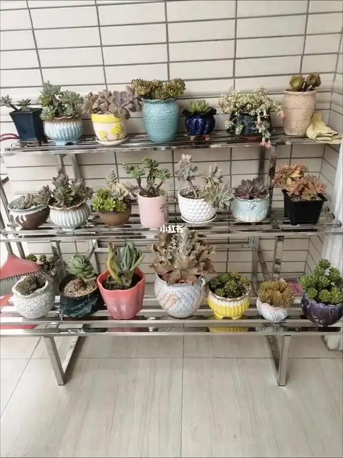 不绣钢阶梯花架