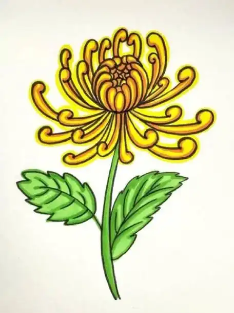 用数字6画菊花也太简单了