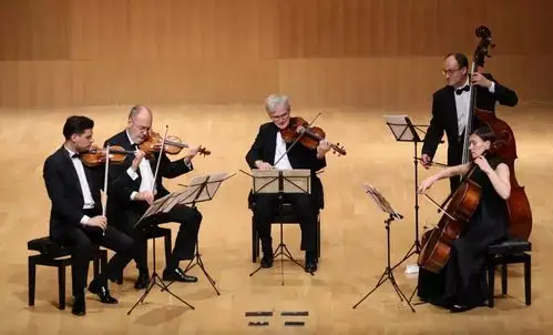 柏林爱乐弦乐五重奏现在,我们向大家介绍:而你知道弦乐五重奏吗?