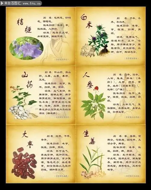 中草药展板图片素材