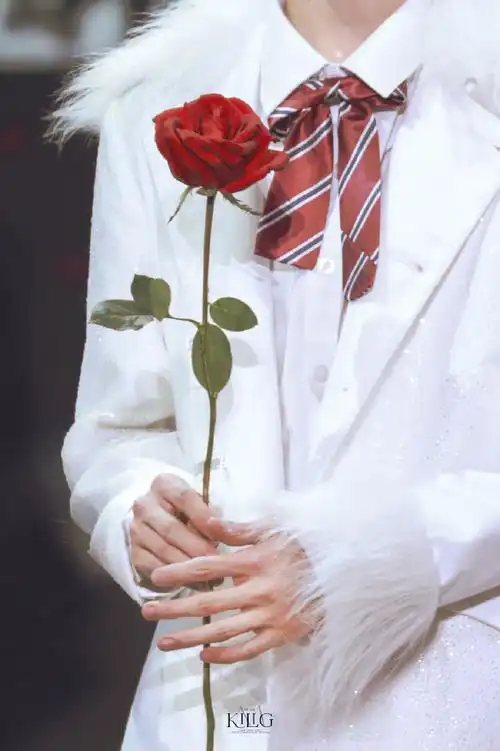 马嘉祺 感知浪漫