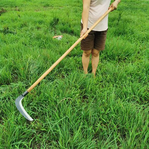 镰刀户外长柄加长大杉镰刀割草刀农用全钢手工锻打廉刀割草大扇刀