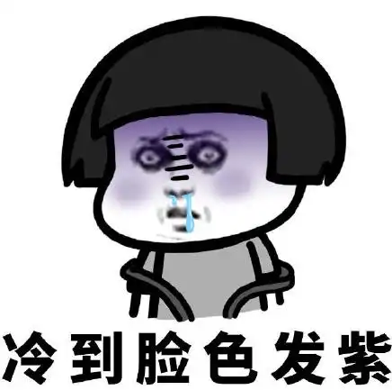 文字表情包 搞笑 逗 魔性 天气太冷了 冷到脸色发紫