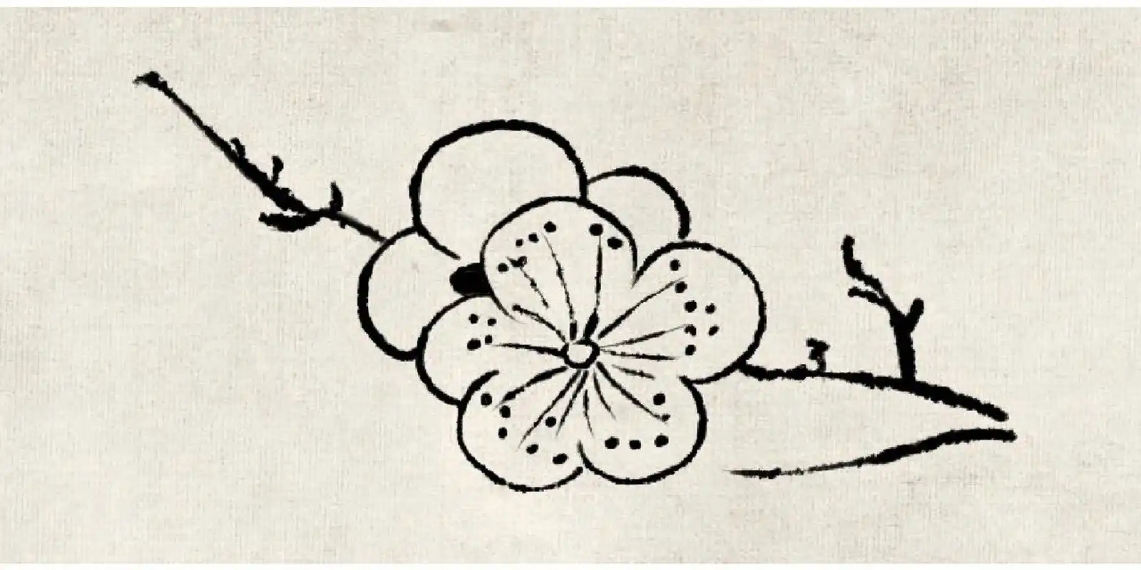 白描梅花 临了两张
