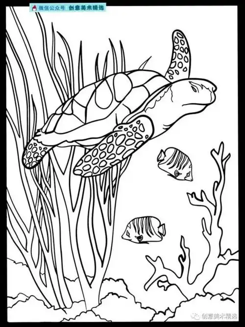素材分享——海底世界主题线描作品