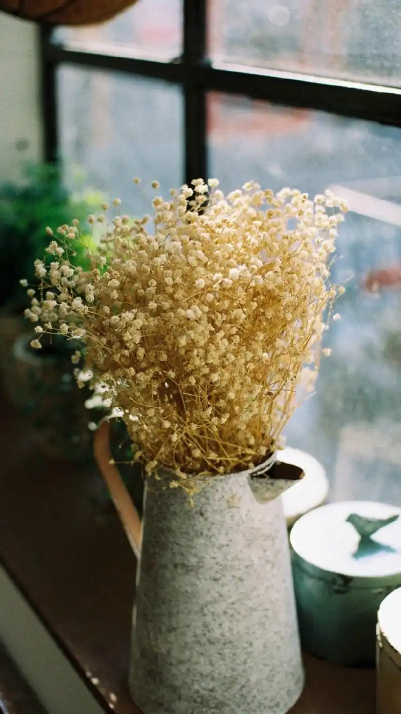 文艺清新居家静物高清图片手机壁纸-风格-手机壁纸下载-美桌网