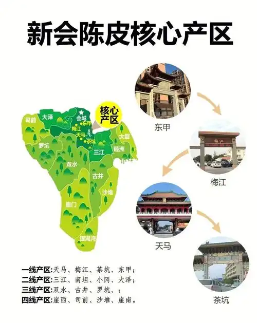 秒懂新会陈皮5大核心产区的价值