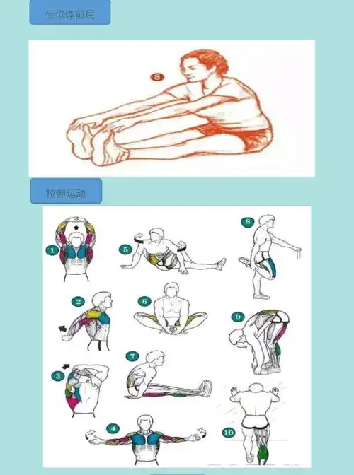 坐位体前屈 全身拉伸