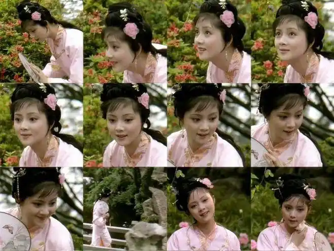 张莉-红楼梦之宝钗扑蝶