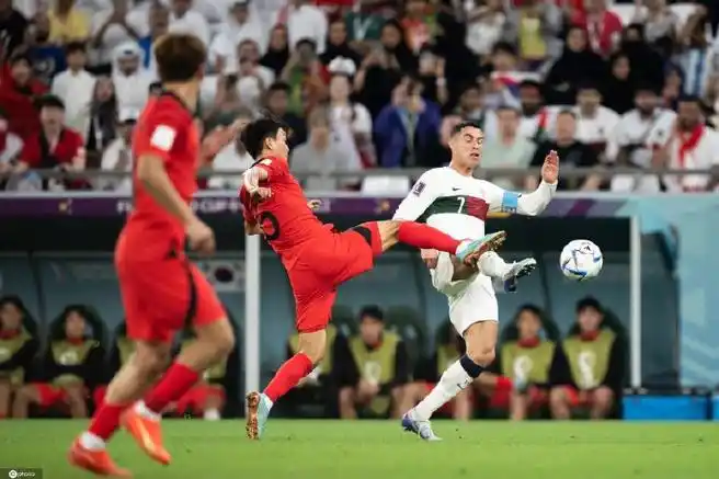 2022卡塔尔世界杯