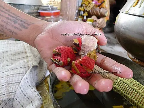 泰国东北部尸油鬼王亚赞禁骋 固呻哩>爱情降和合法物