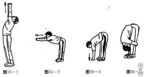 扩胸前俯后仰运动