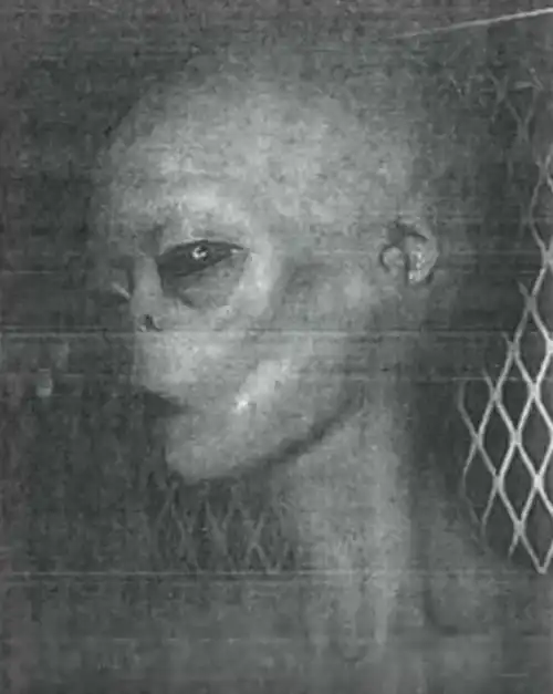 51区的又一重大爆料,爆出了外星人的真实照片!