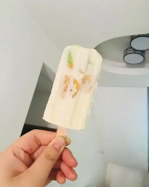 wendyt做的最简单快手的雪糕——酸奶雪糕(附变化版本)