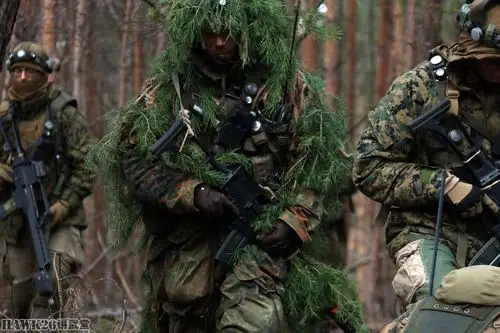 德美两军联合演习空降猎兵团展现精锐部队应有的风采