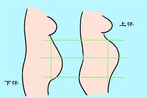 怀孕周期一样,准妈妈的肚子为什么大小不一?主要看以下三个因素