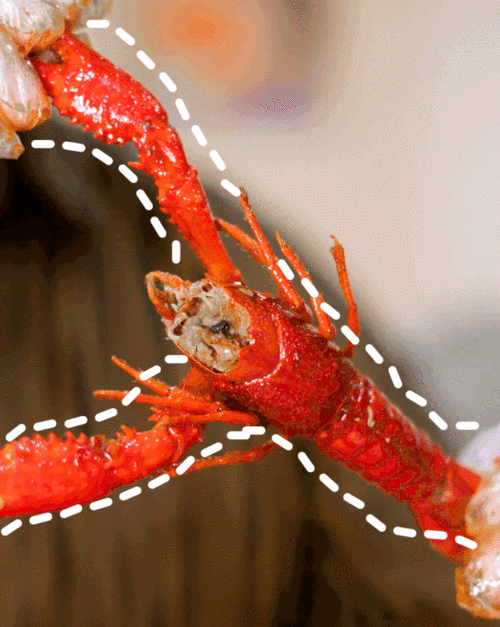 小龙虾免费吃~整个5月买一送一!【仙姑婆·鲍鱼焖锅王】秘制小龙虾火